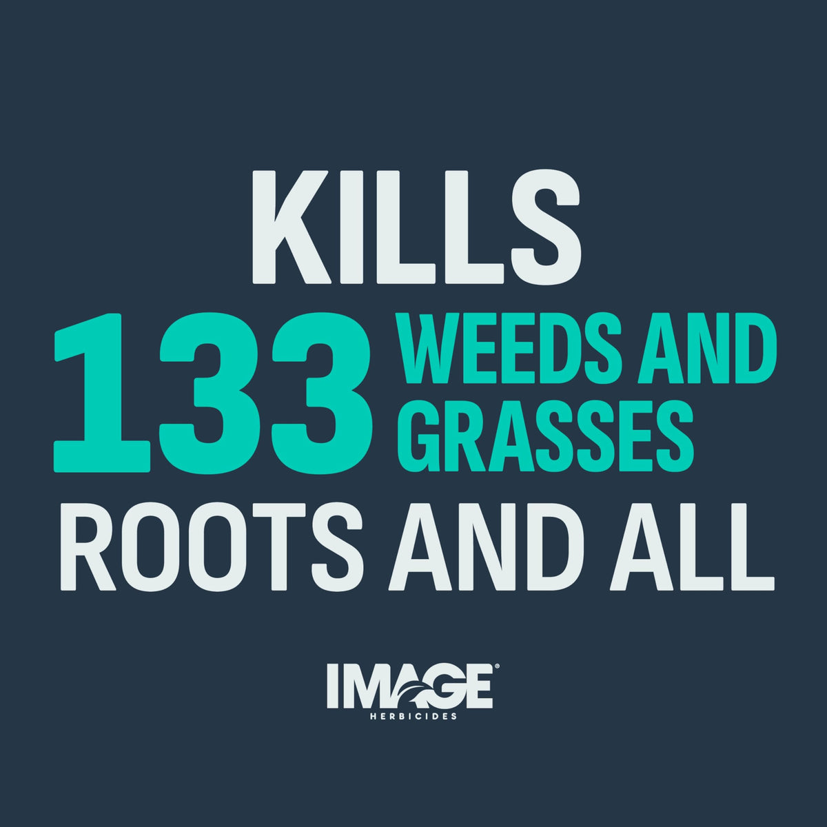 10 Lb Weed & Grass Killer Granules M8451