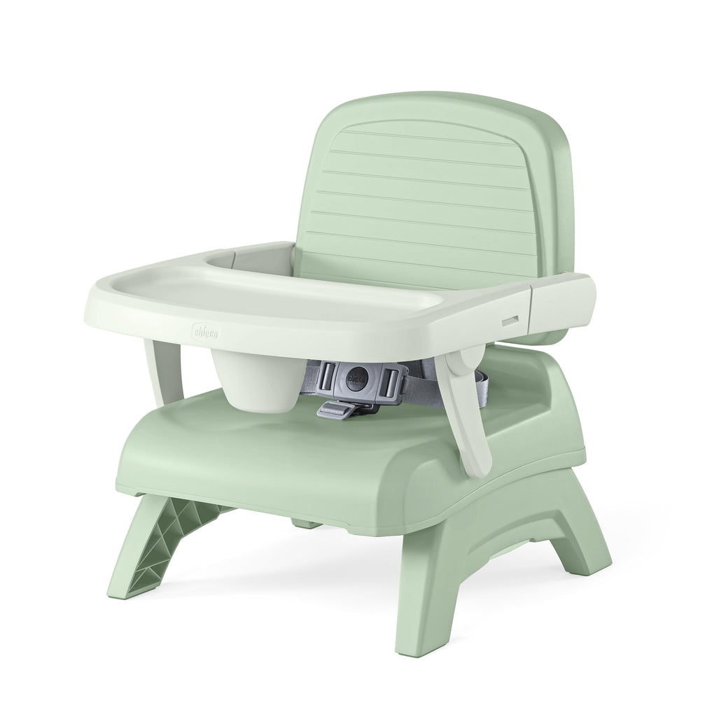 3-in-1 Portable Booster Seat T709