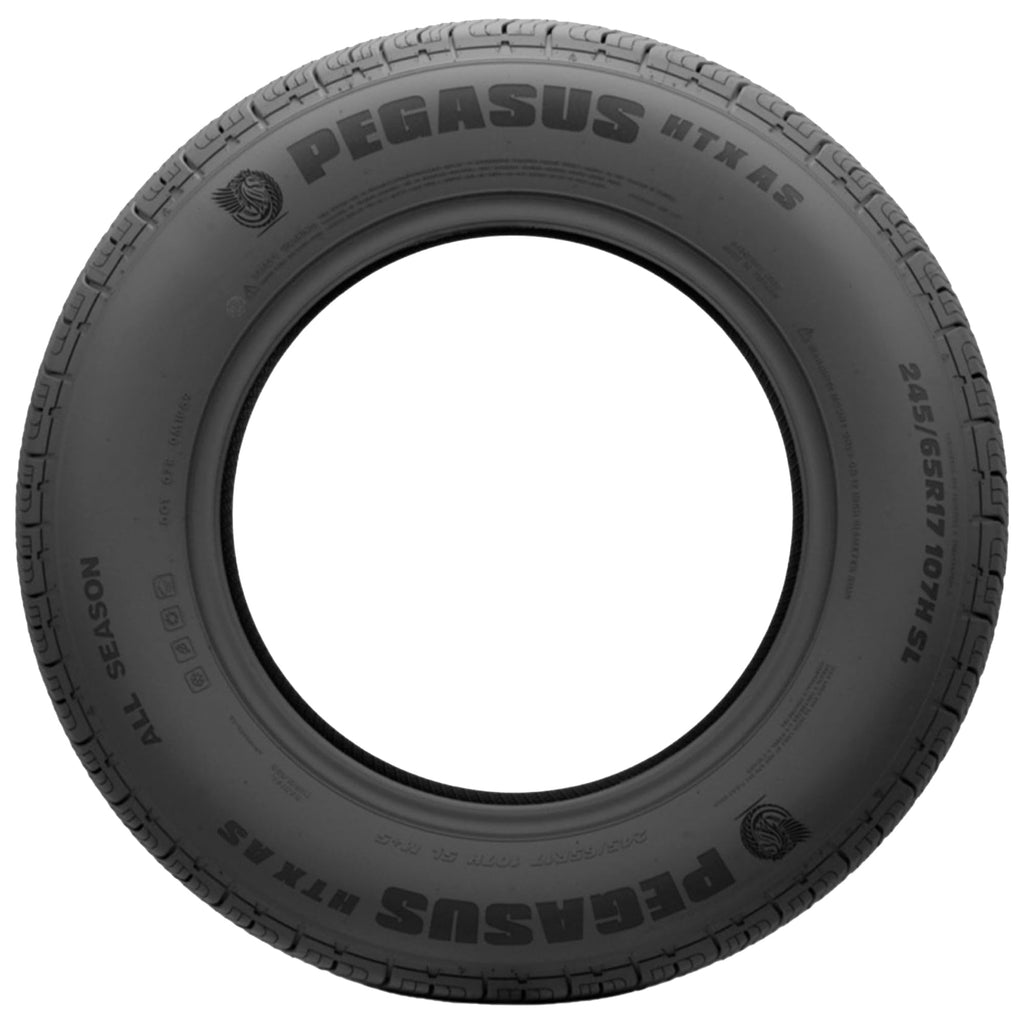 275/55R20 117H XL Light Truck Tire R750