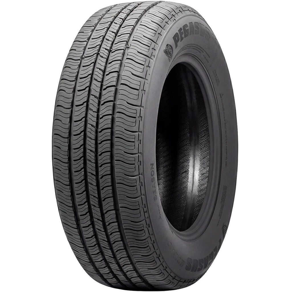 275/55R20 117H XL Light Truck Tire R750