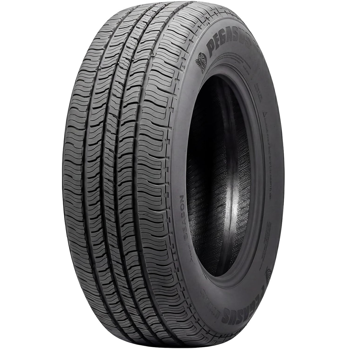275/55R20 117H XL Light Truck Tire R750