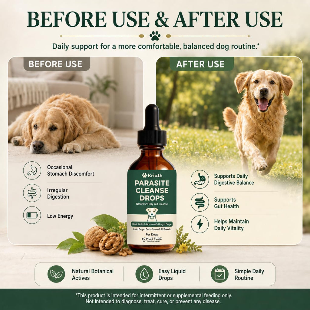 Black Walnut & Wormwood Herbal Drops 60 mL / 2 Fl Oz O401184