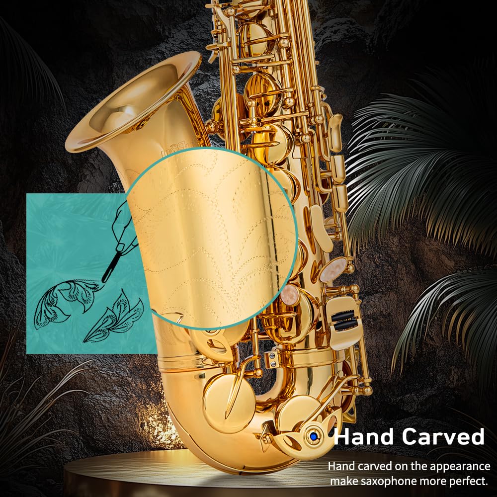 Student Beginner Eb Saxophone Kit A2807