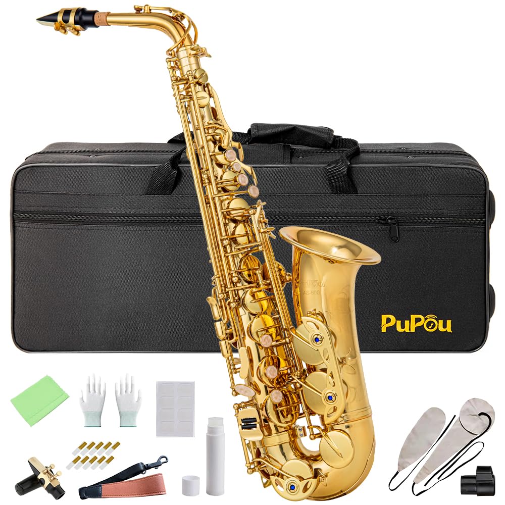 Student Beginner Eb Saxophone Kit A2807