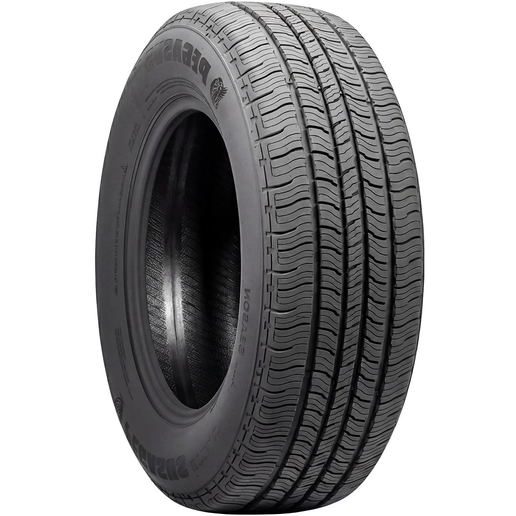 275/55R20 117H XL Light Truck Tire R750