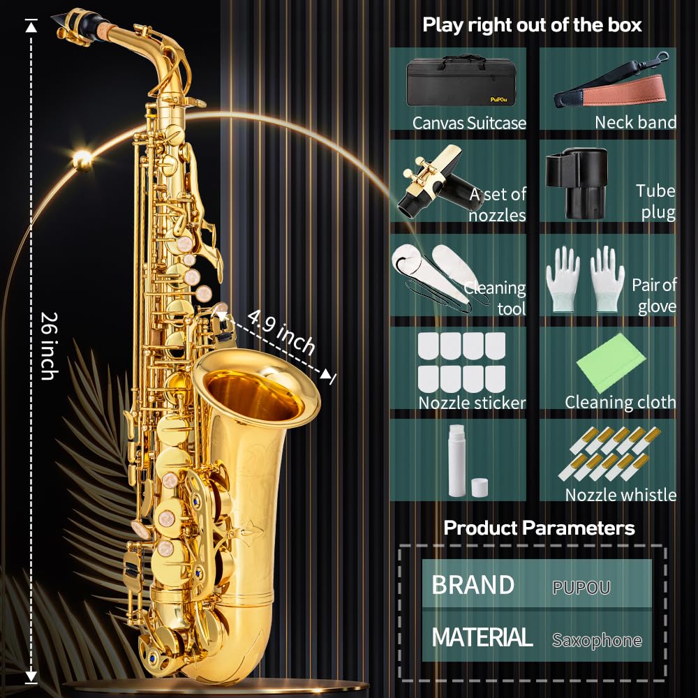 Student Beginner Eb Saxophone Kit A2807