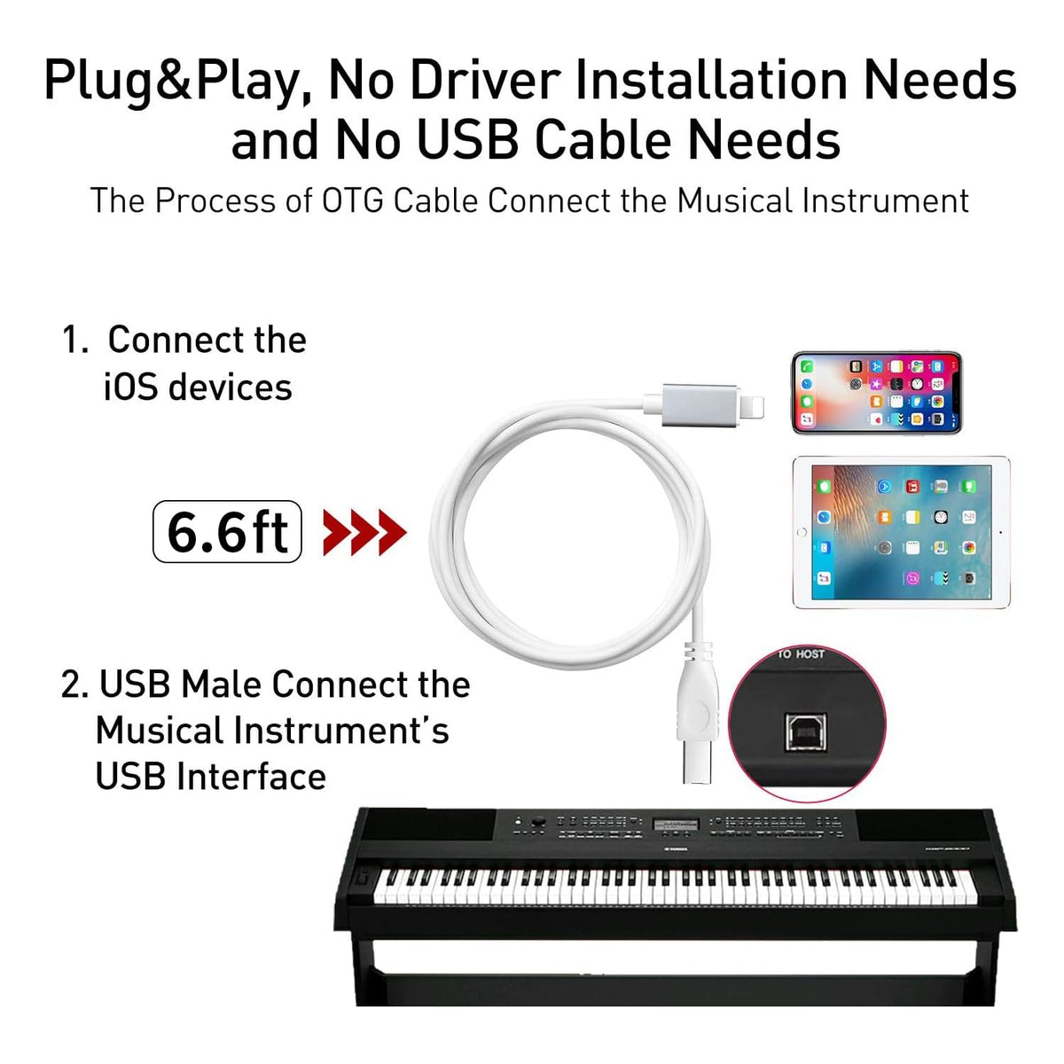 Lightning to MIDI Cable, 6.6FT Type B OTG M45122