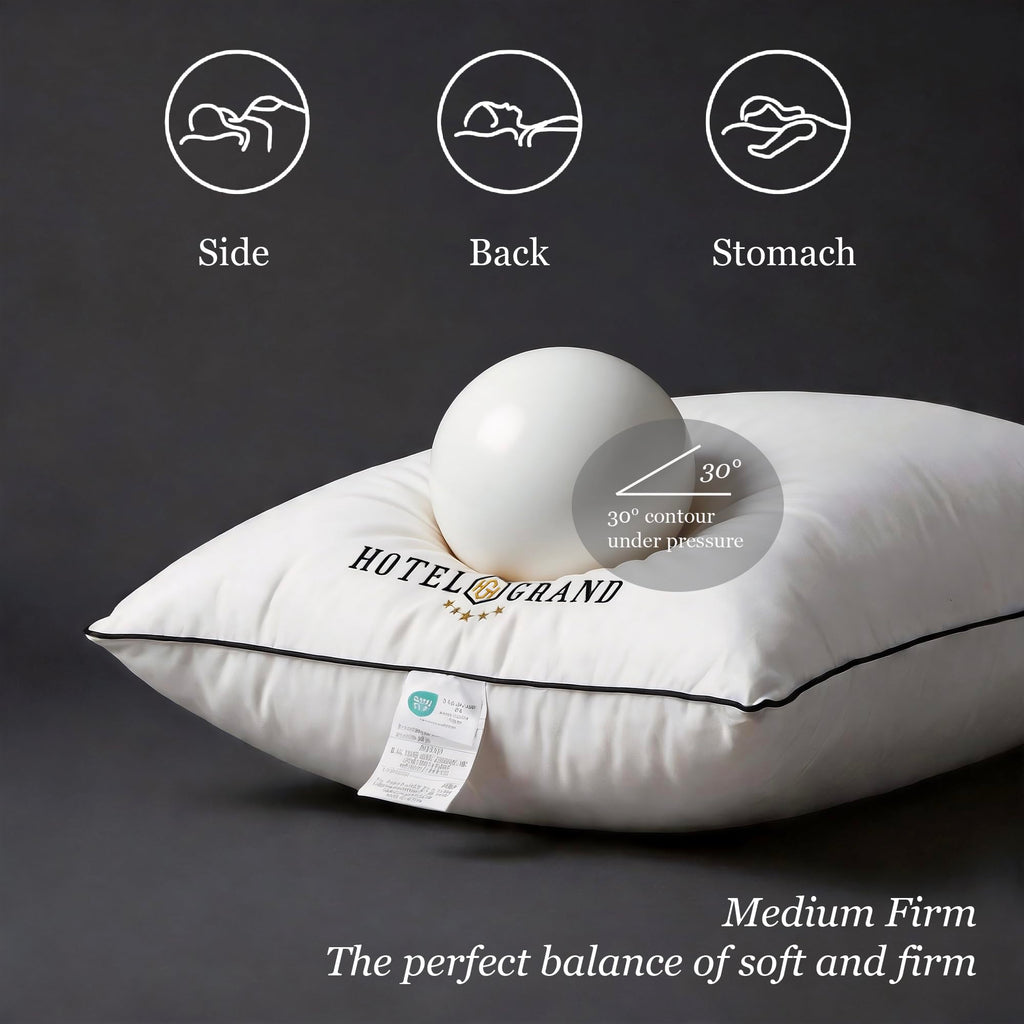 Queen Size Down Alternative Pillows Set of 2 Q205