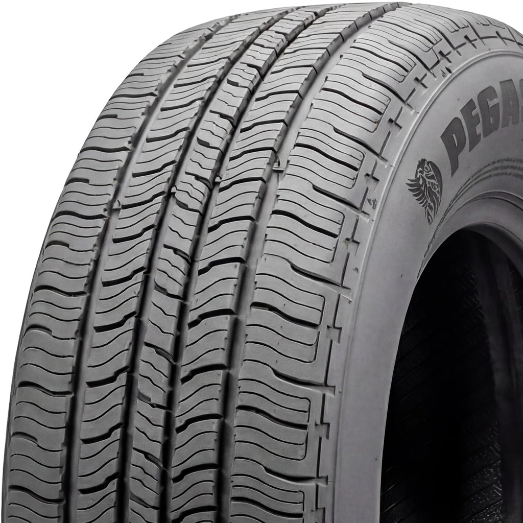 275/55R20 117H XL Light Truck Tire R750