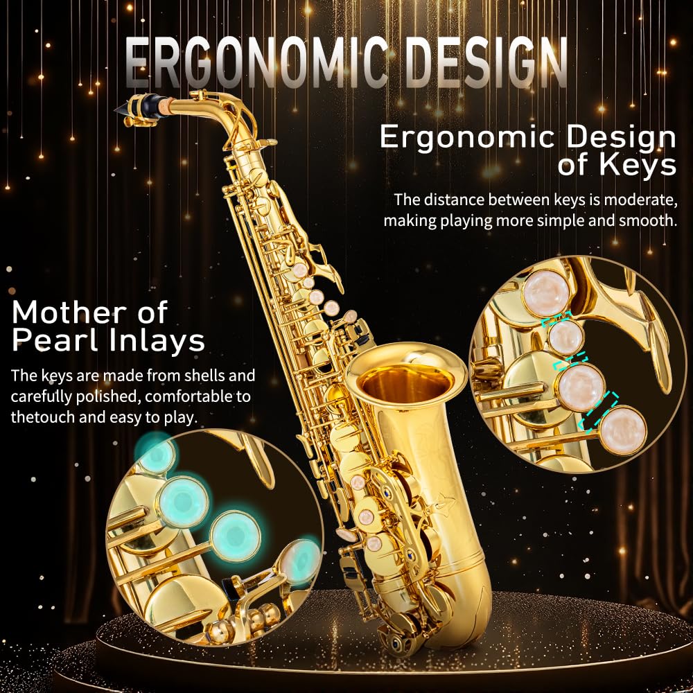 Student Beginner Eb Saxophone Kit A2807