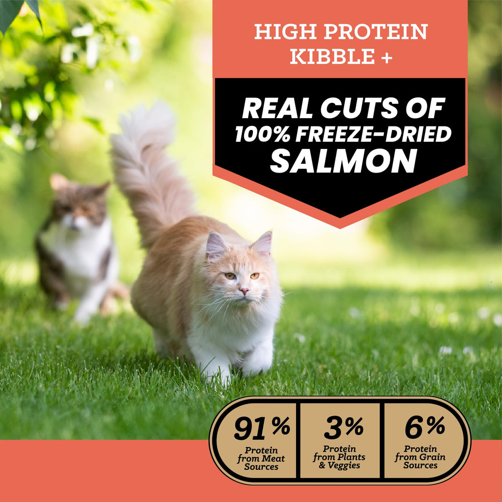 Salmon Freeze-Dried Dry Cat Food 4 lb J7142