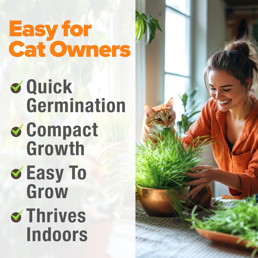 6 oz Heirloom Barley & Oat Cat Grass Seeds A393