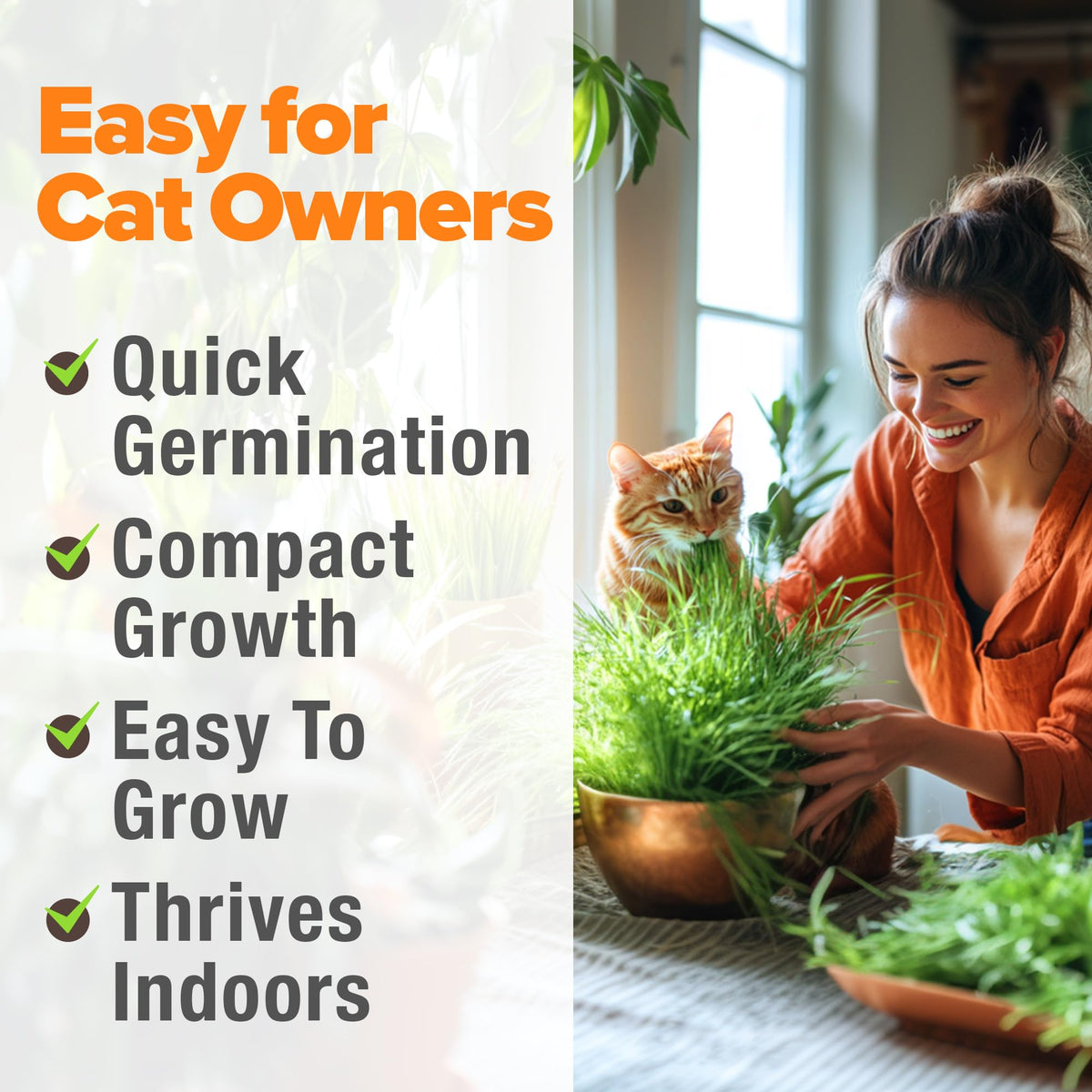 6 oz Heirloom Barley & Oat Cat Grass Seeds A393