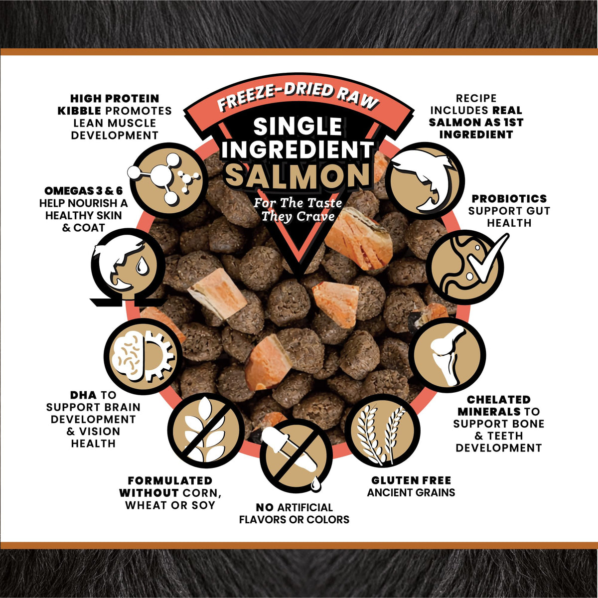 Salmon Freeze-Dried Dry Cat Food 4 lb J7142