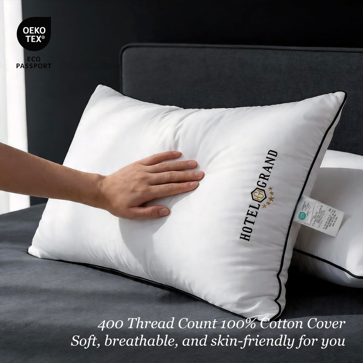 Queen Size Down Alternative Pillows Set of 2 Q205
