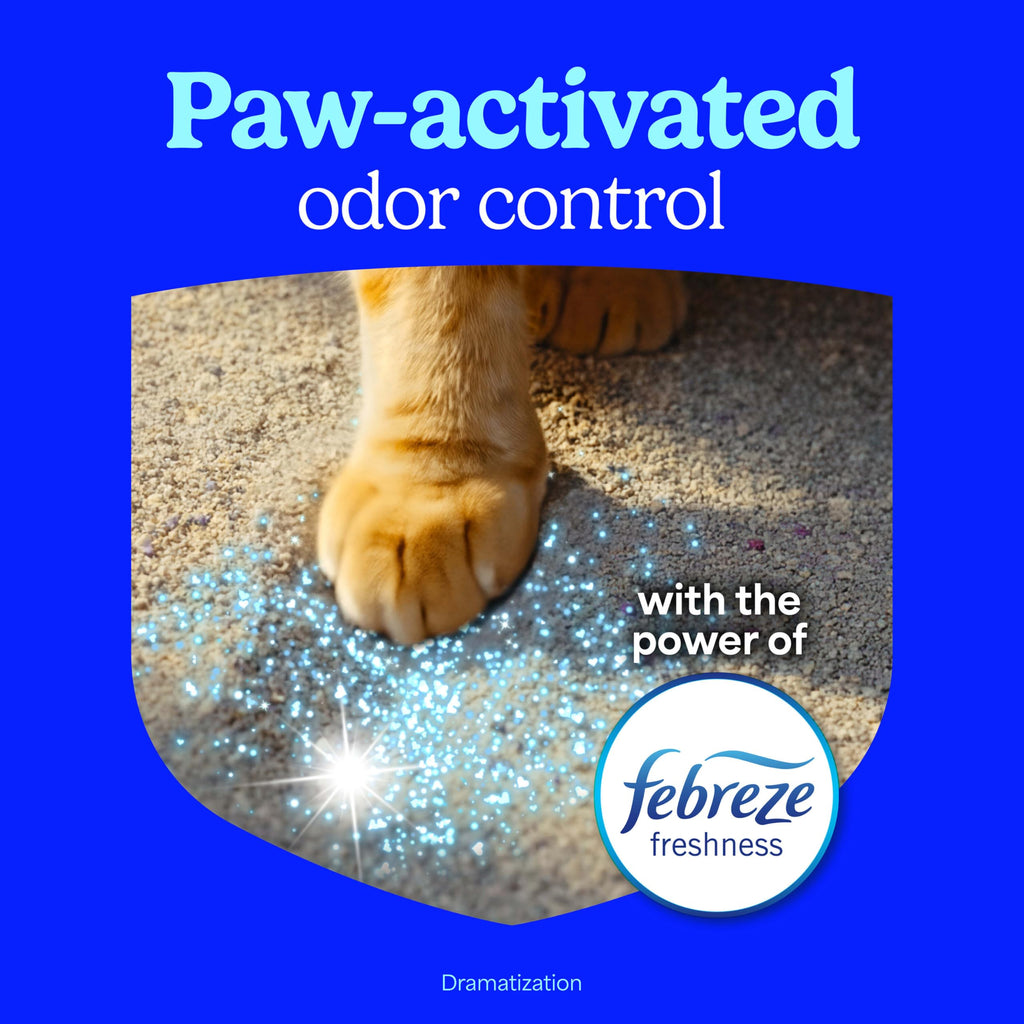 Non-Clumping Cat Litter with Odor Control, 35 lb. Bag R12647
