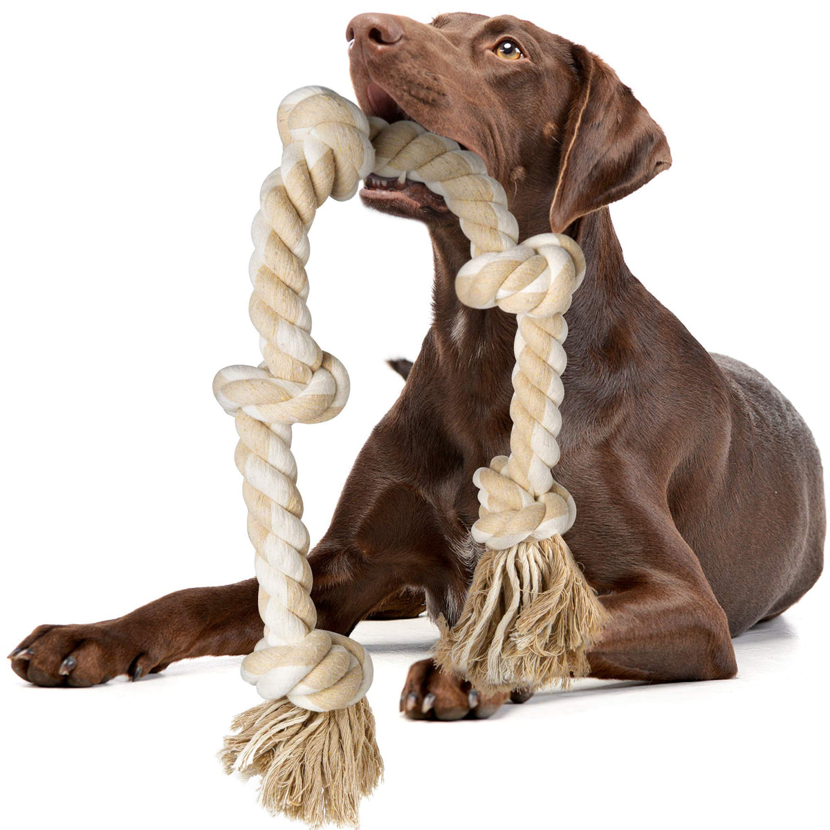 Dog Rope Toys for Aggressive Chewers Z88706