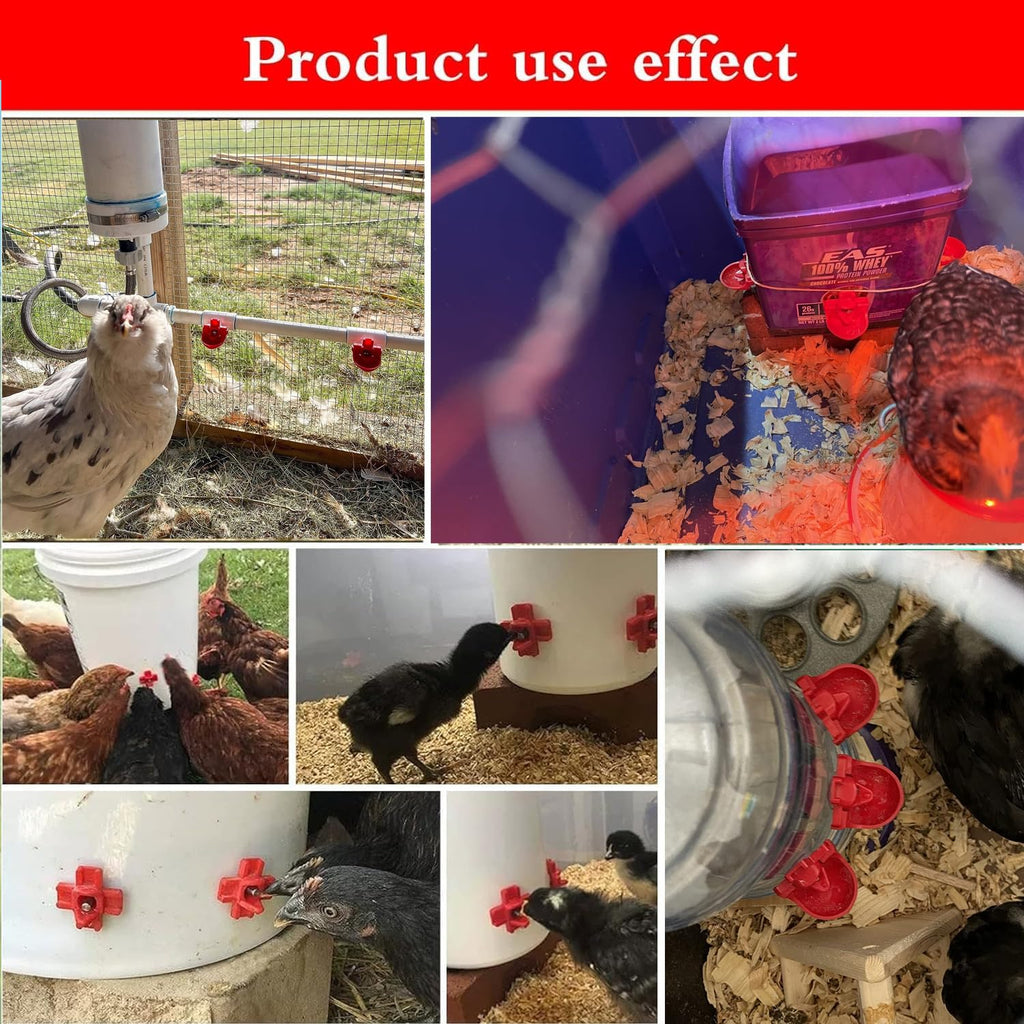 12-Pack Automatic Chicken Water Nipples with Cups S2152
