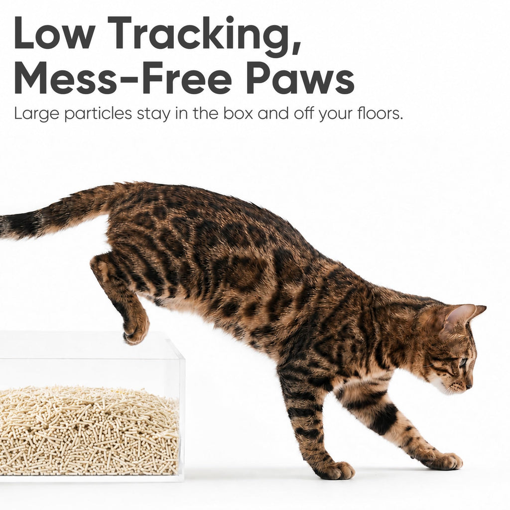 Unscented Plant-Based Clumping Tofu Cat Litter 12 lb Z156379