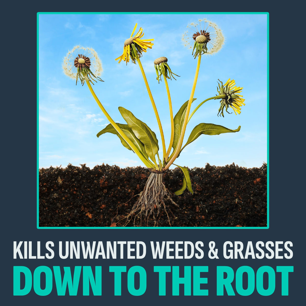 10 Lb Weed & Grass Killer Granules M8451
