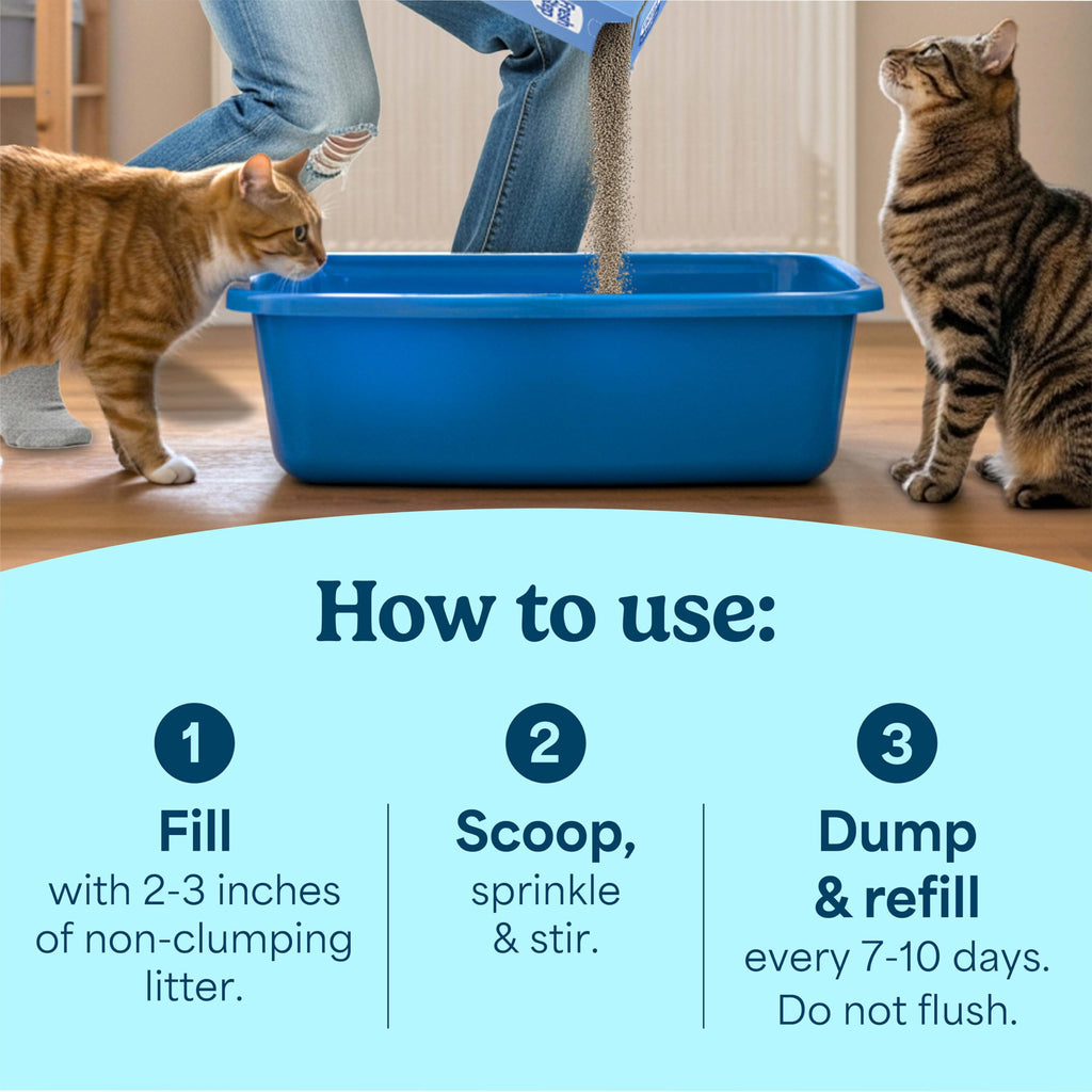 Non-Clumping Cat Litter with Odor Control, 35 lb. Bag R12647