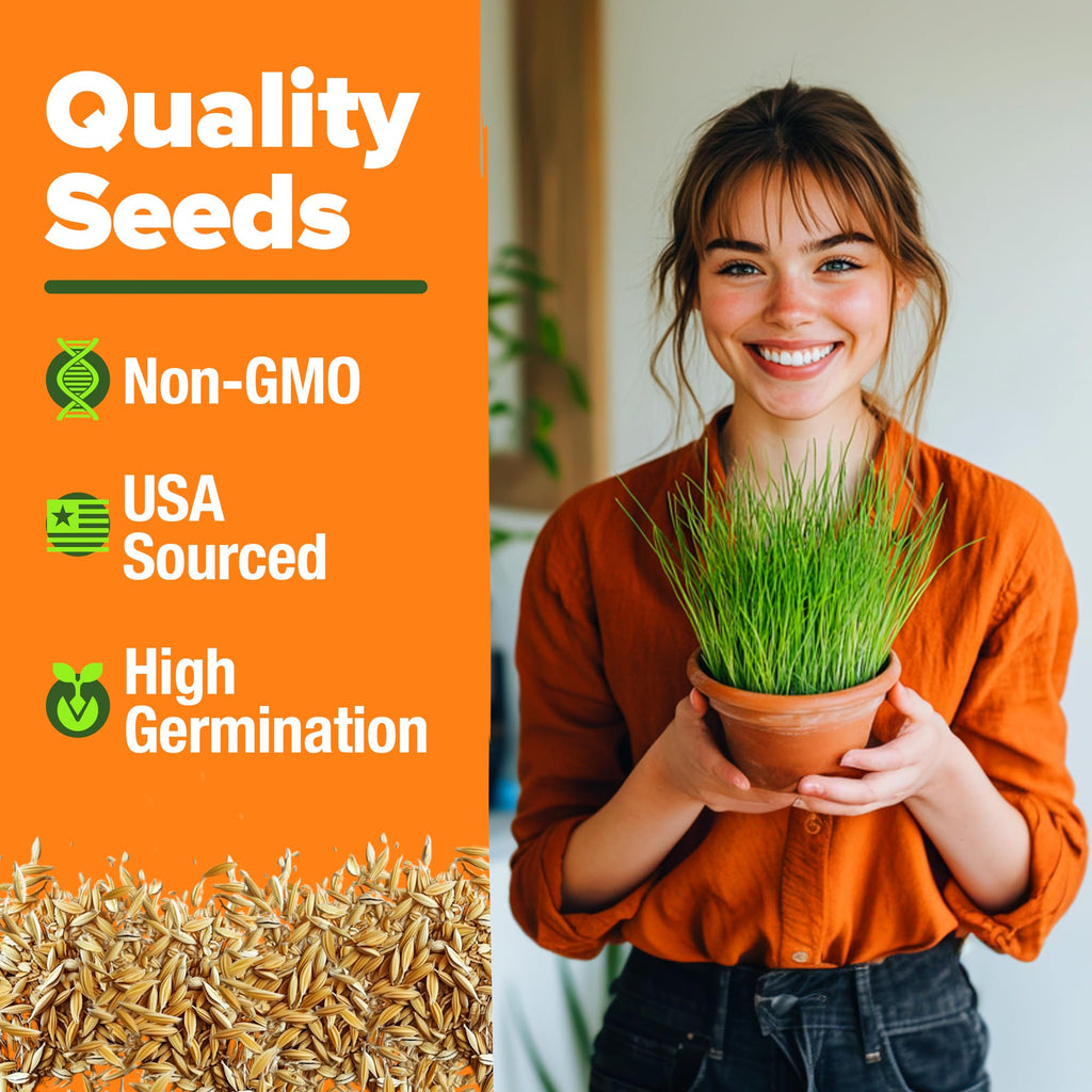 6 oz Heirloom Barley & Oat Cat Grass Seeds A393