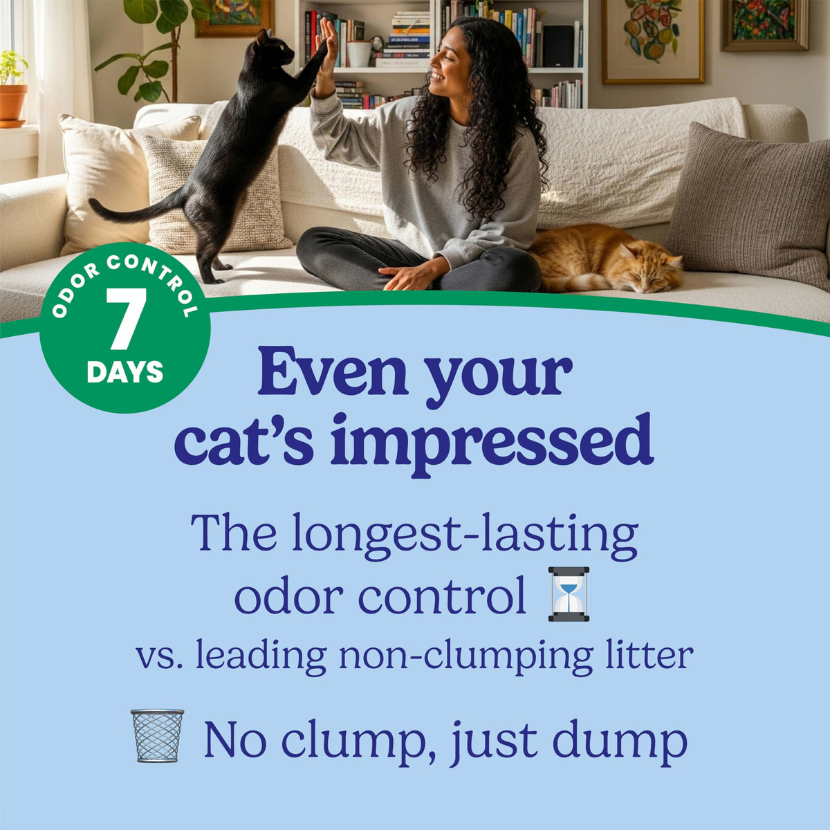 Non-Clumping Cat Litter with Odor Control, 35 lb. Bag R12647
