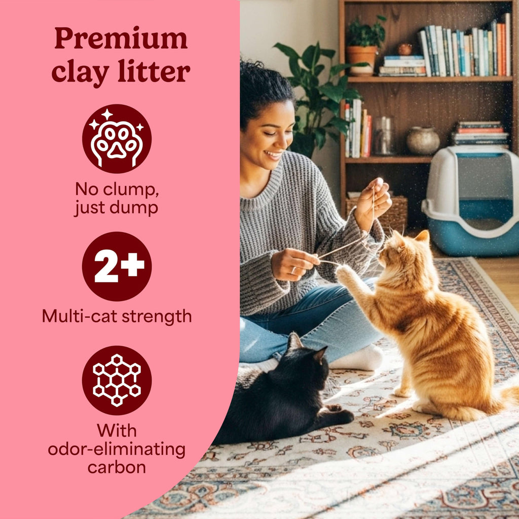 Non-Clumping Cat Litter with Odor Control, 35 lb. Bag R12647