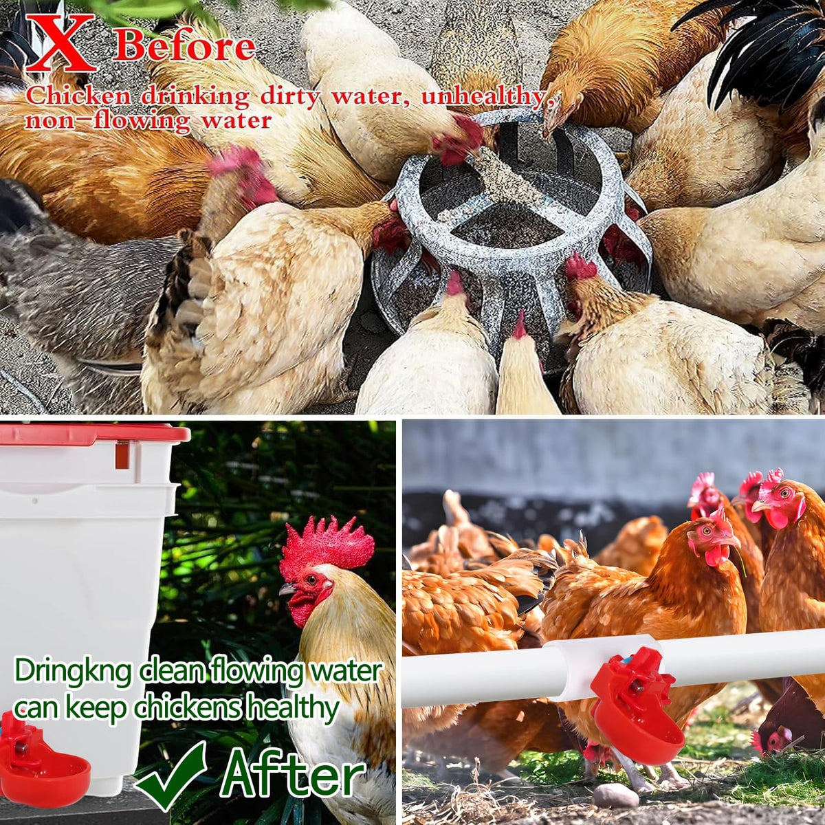 12-Pack Automatic Chicken Water Nipples with Cups S2152