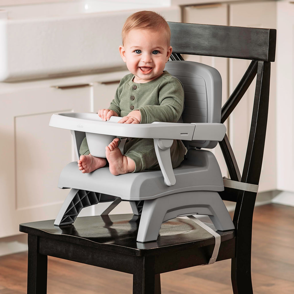 3-in-1 Portable Booster Seat T709