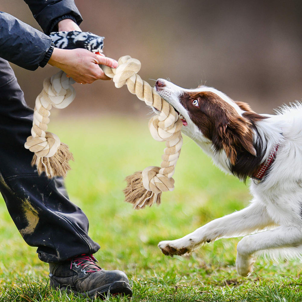 Dog Rope Toys for Aggressive Chewers Z88706