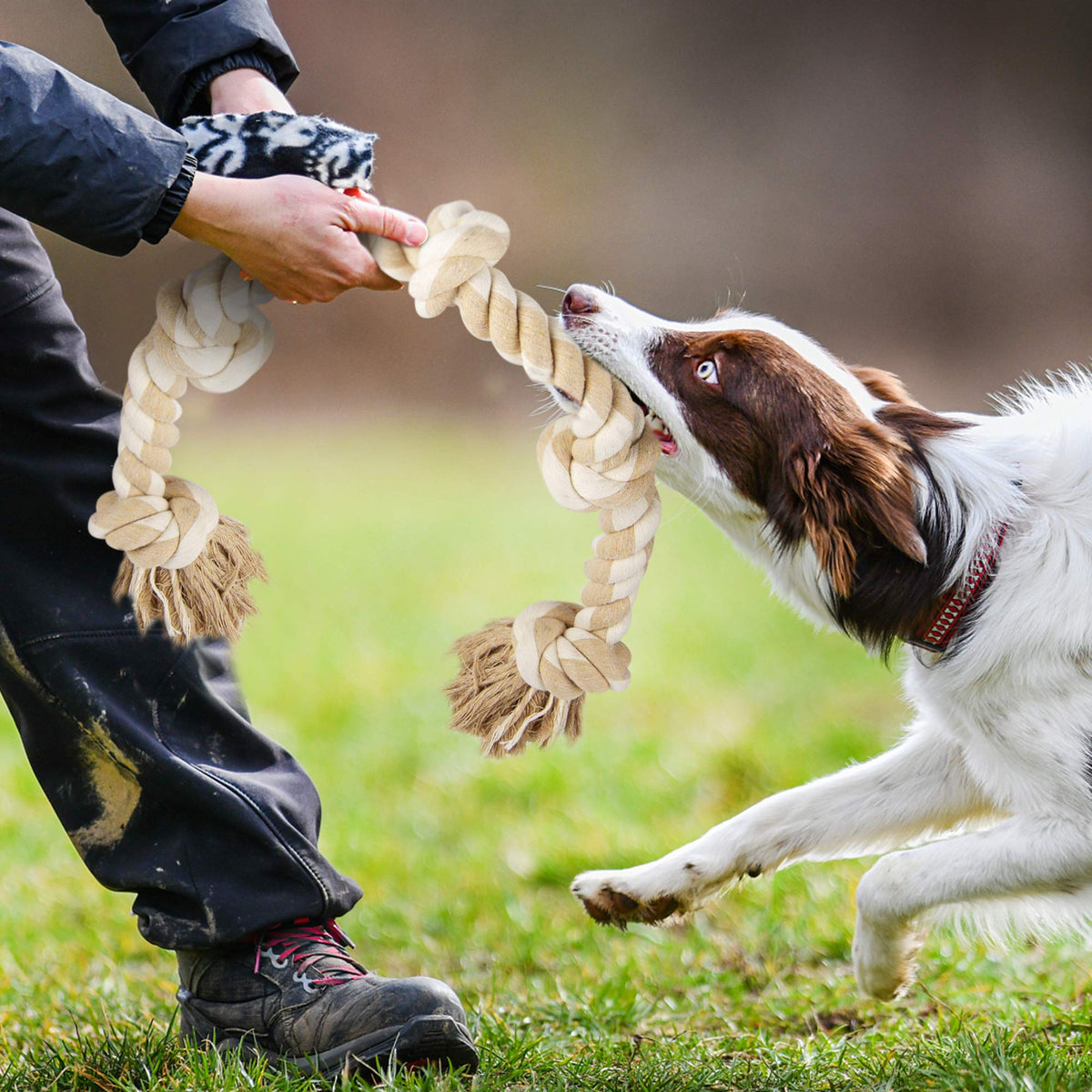 Dog Rope Toys for Aggressive Chewers Z88706