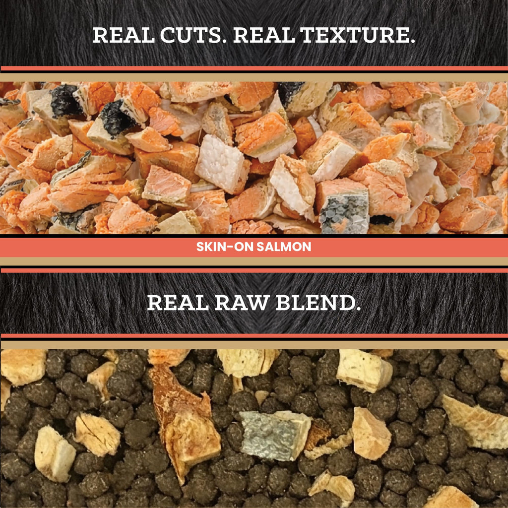 Salmon Freeze-Dried Dry Cat Food 4 lb J7142